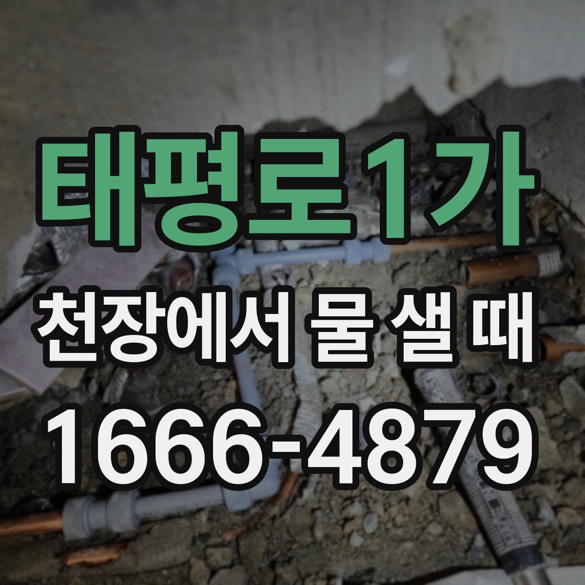 태평로1가 천장에서 물 샐 때