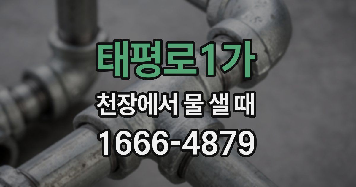 태평로1가 천장에서 물 샐 때