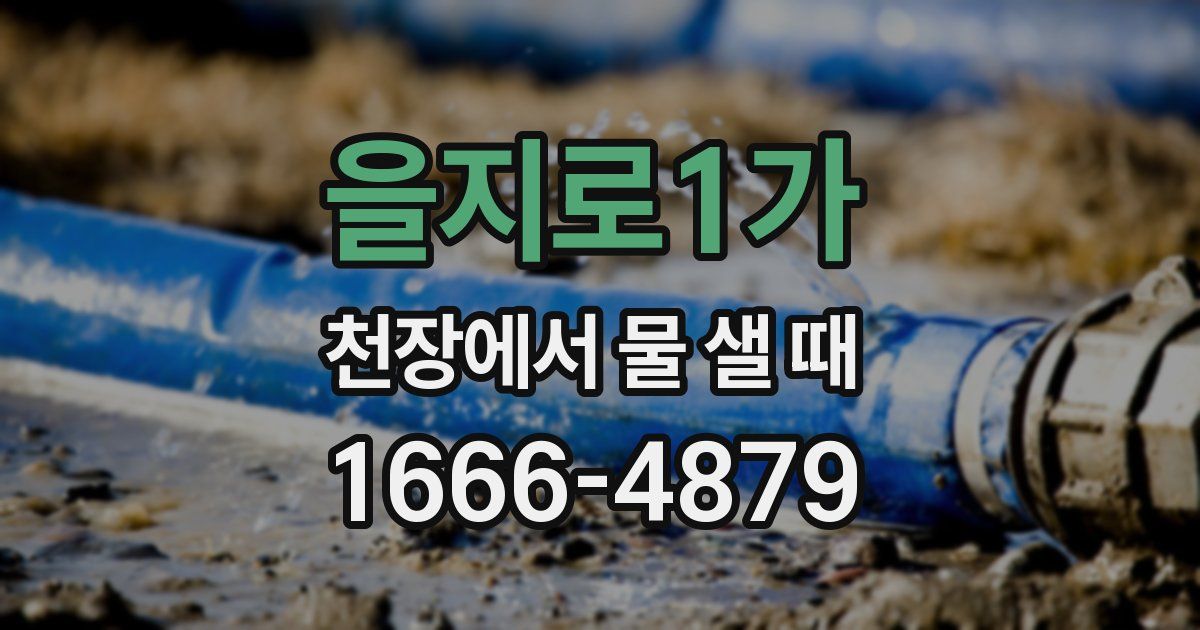 을지로1가 천장에서 물 샐 때