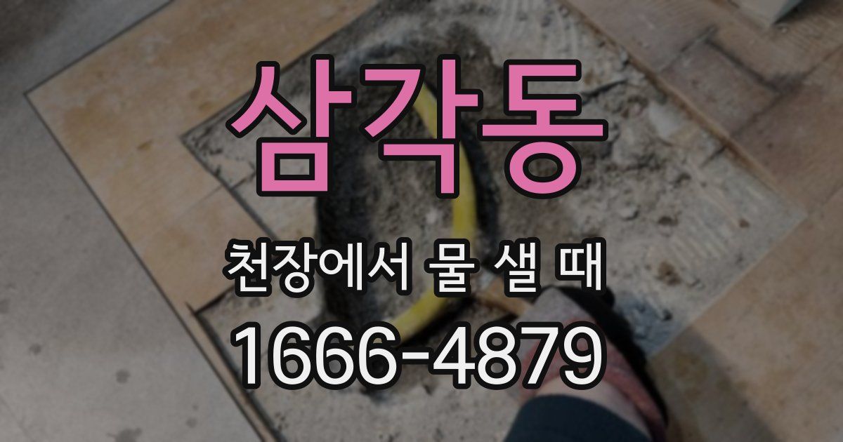 삼각동 천장에서 물 샐 때