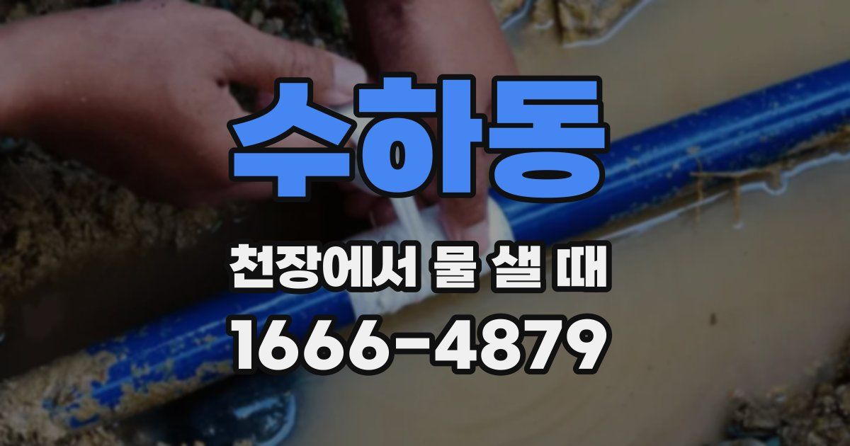 수하동 천장에서 물 샐 때