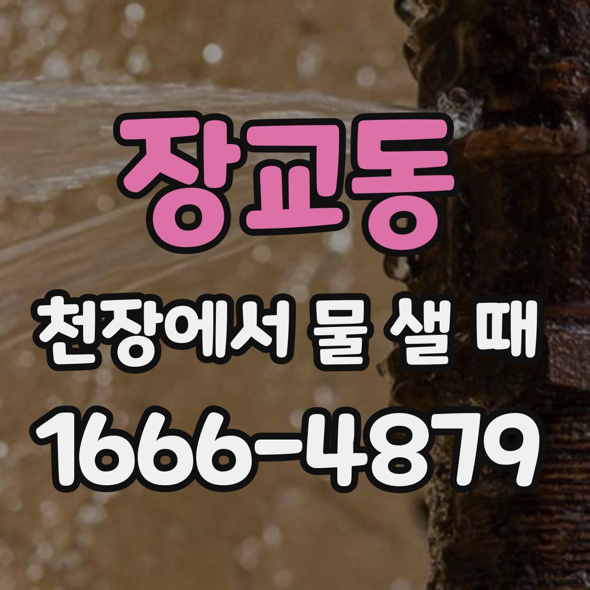 장교동 천장에서 물 샐 때
