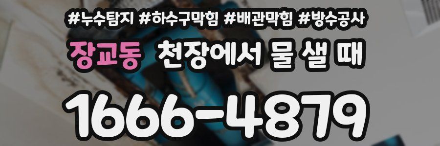 장교동 천장에서 물 샐 때