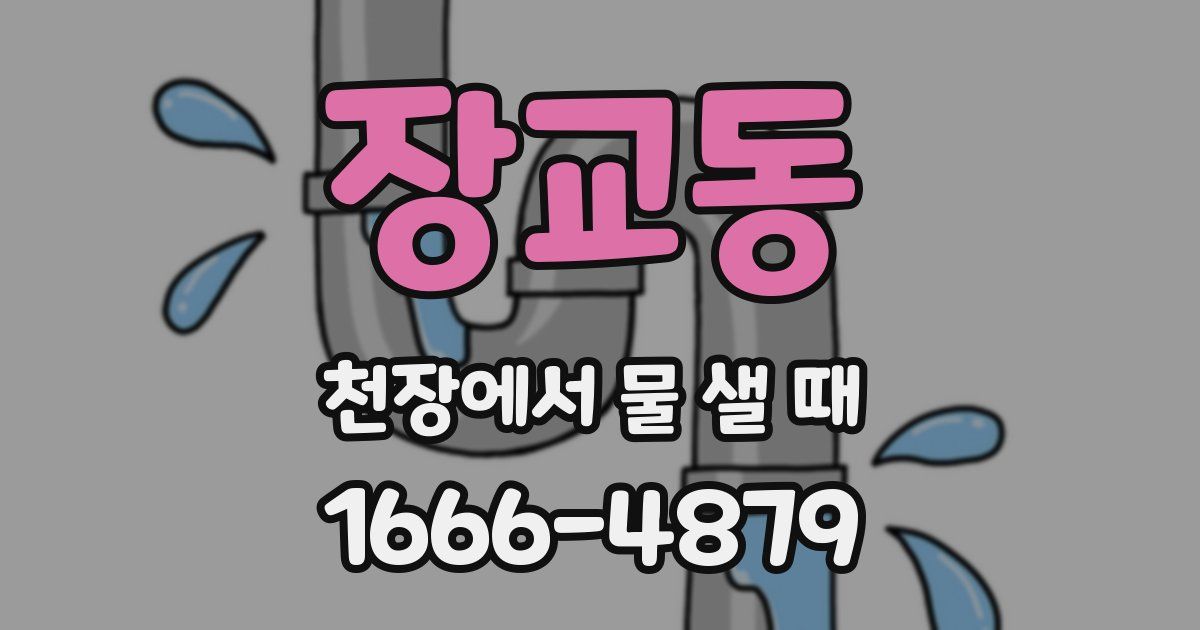 장교동 천장에서 물 샐 때