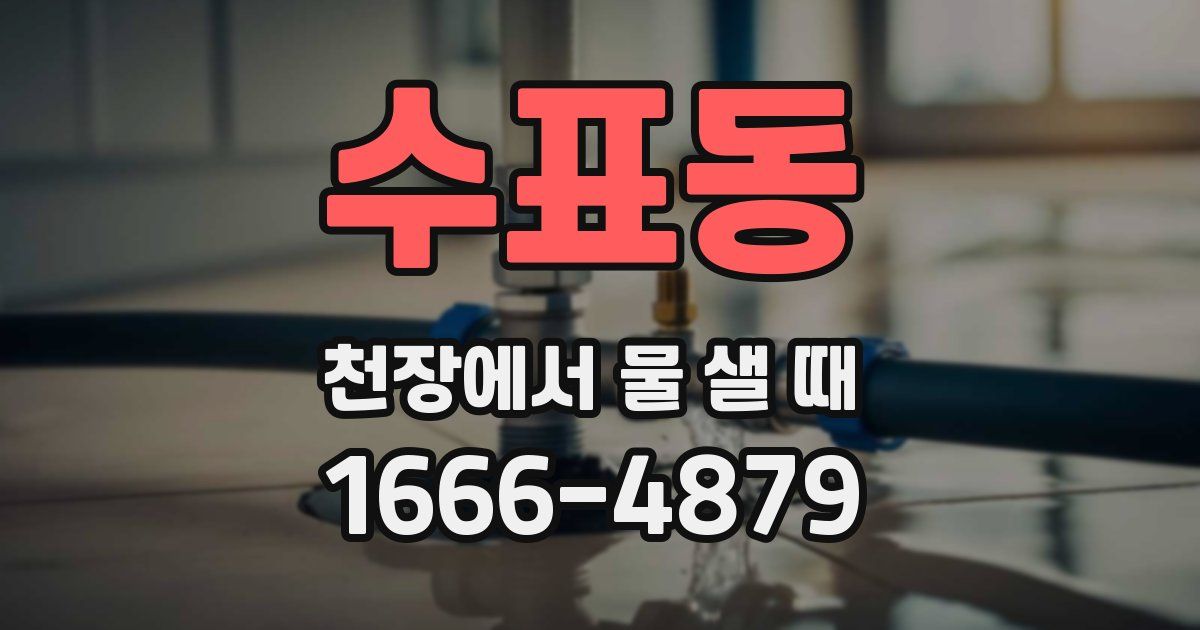 수표동 천장에서 물 샐 때