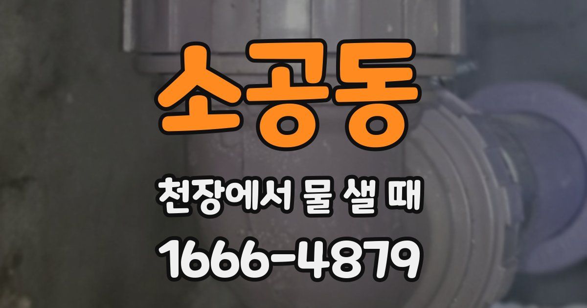 소공동 천장에서 물 샐 때