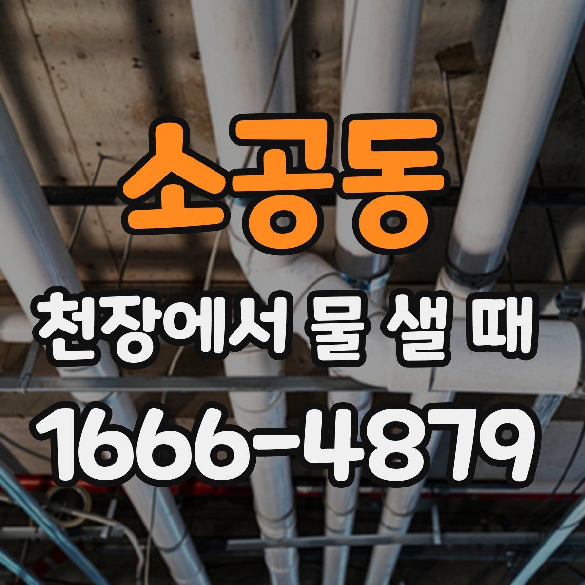 소공동 천장에서 물 샐 때