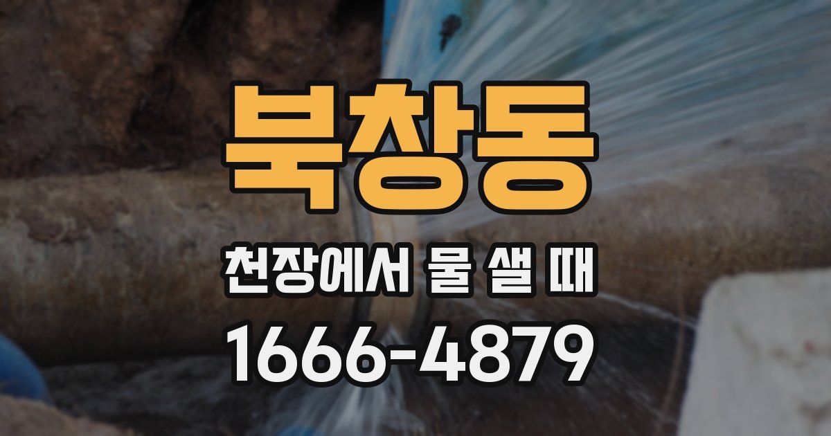 북창동 천장에서 물 샐 때
