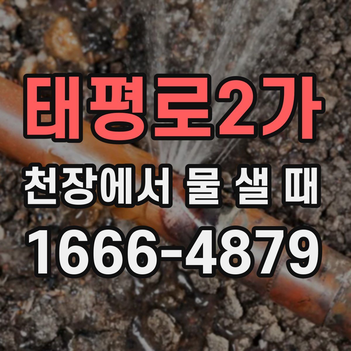 태평로2가 천장에서 물 샐 때