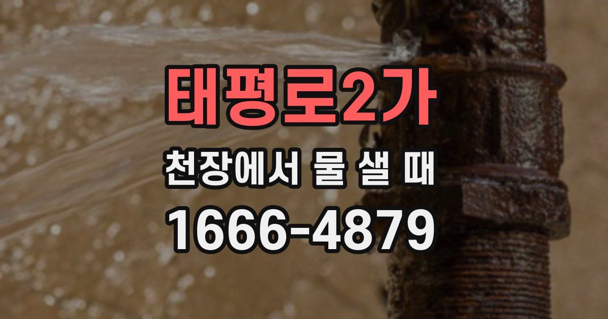 태평로2가 천장에서 물 샐 때
