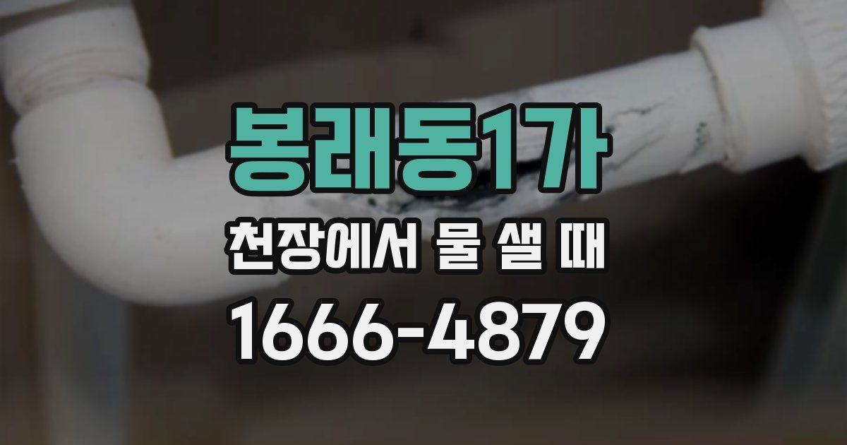 봉래동1가 천장에서 물 샐 때