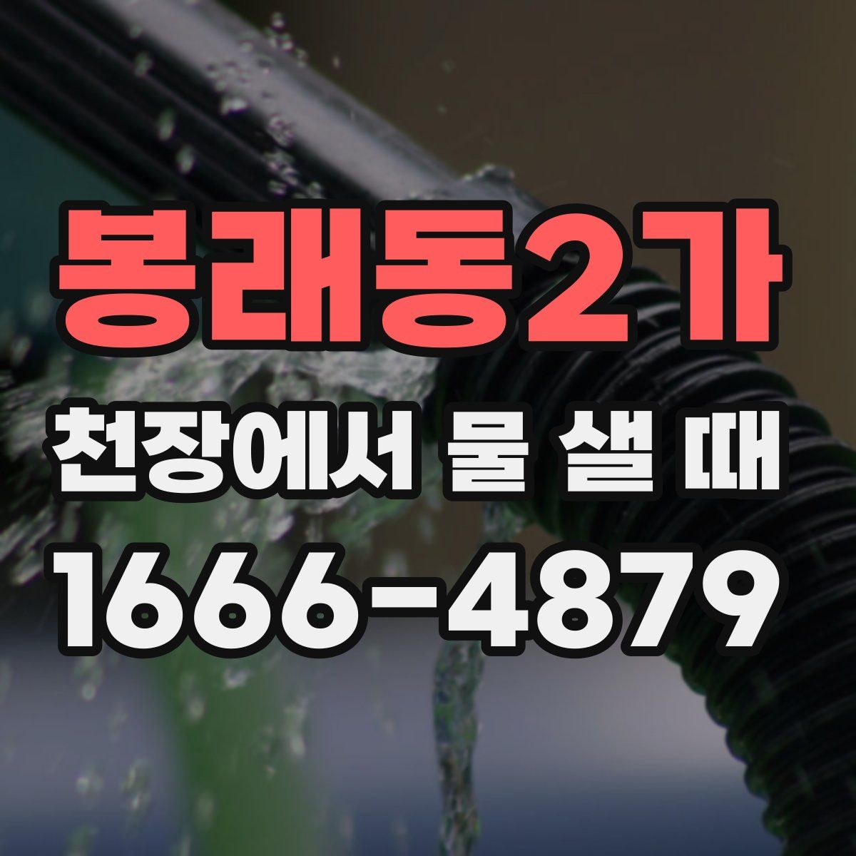 봉래동2가 천장에서 물 샐 때