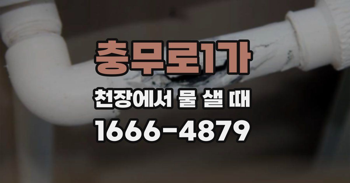 충무로1가 천장에서 물 샐 때