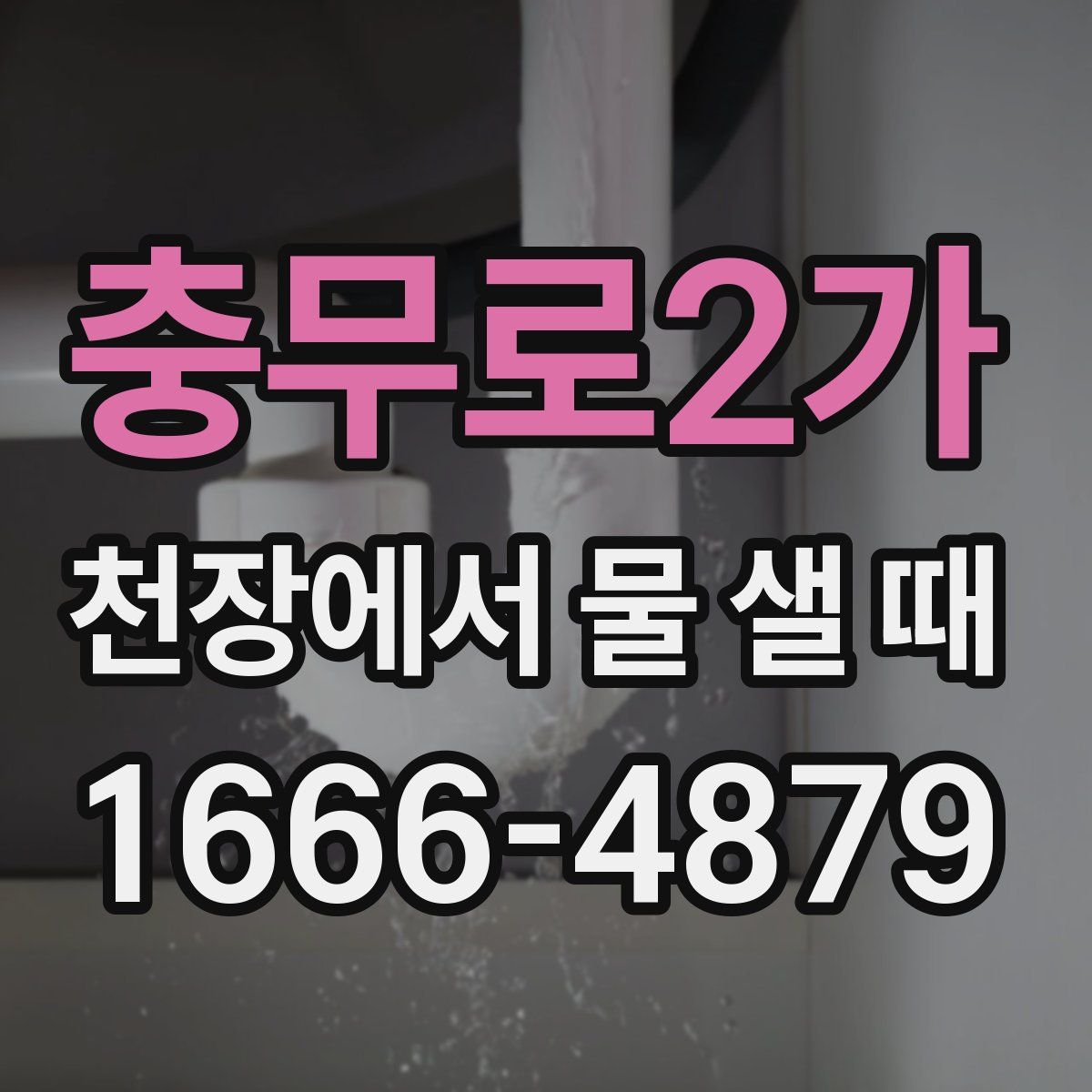 충무로2가 천장에서 물 샐 때