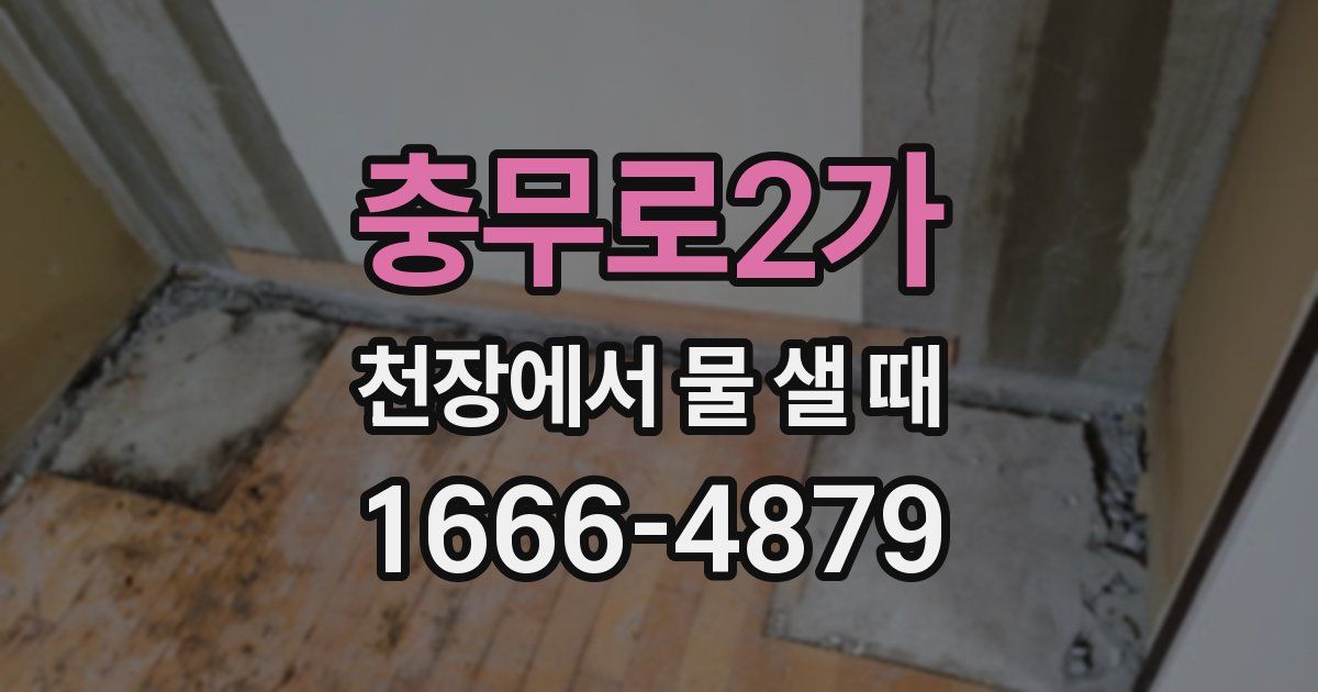 충무로2가 천장에서 물 샐 때