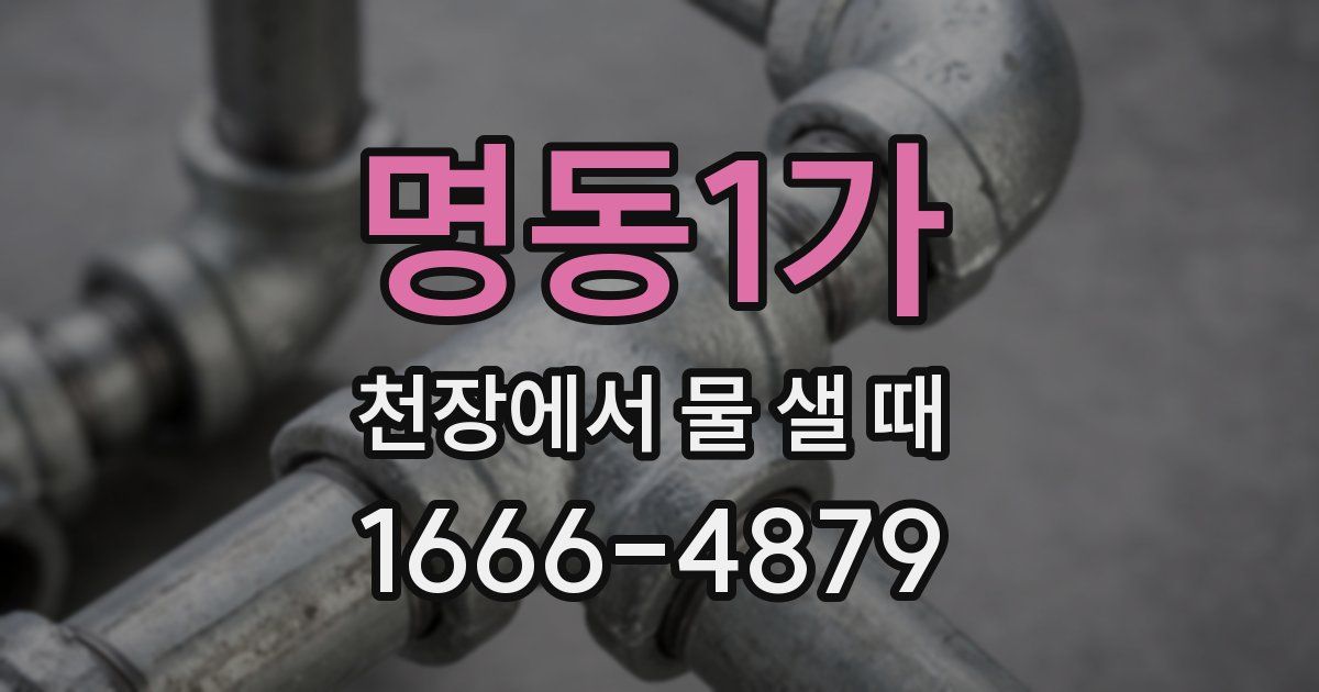 명동1가 천장에서 물 샐 때