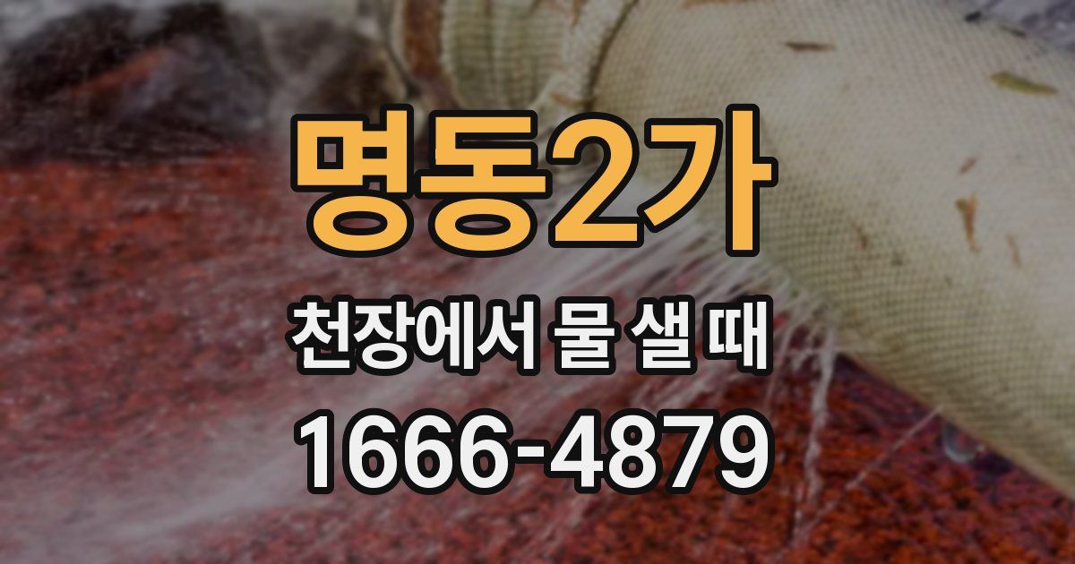 명동2가 천장에서 물 샐 때