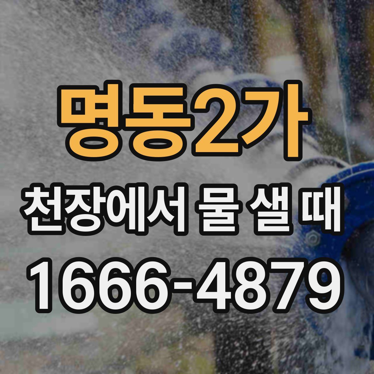 명동2가 천장에서 물 샐 때