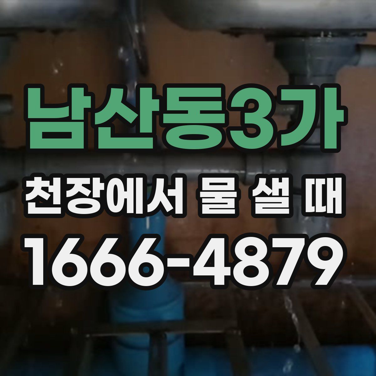 남산동3가 천장에서 물 샐 때