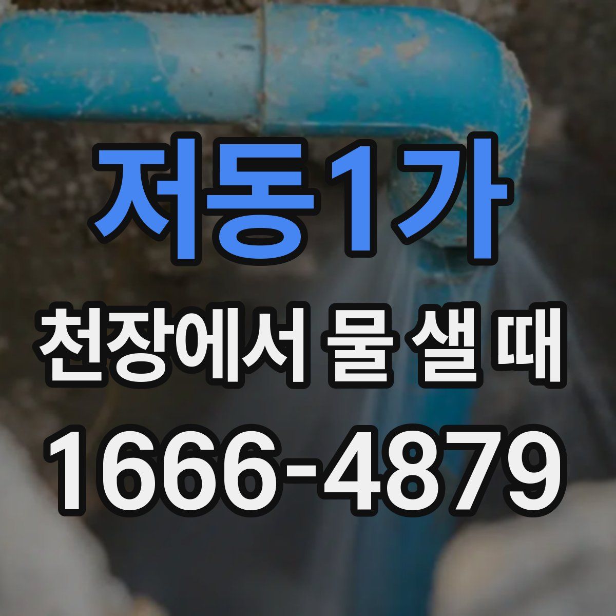 저동1가 천장에서 물 샐 때