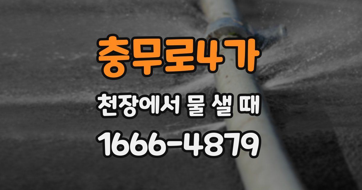 충무로4가 천장에서 물 샐 때