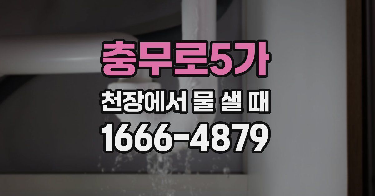 충무로5가 천장에서 물 샐 때