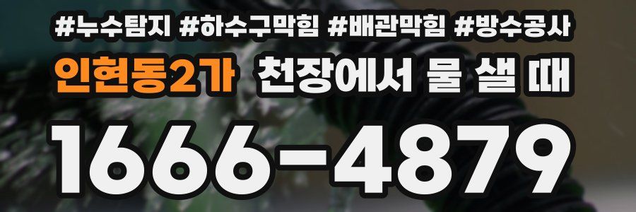 인현동2가 천장에서 물 샐 때