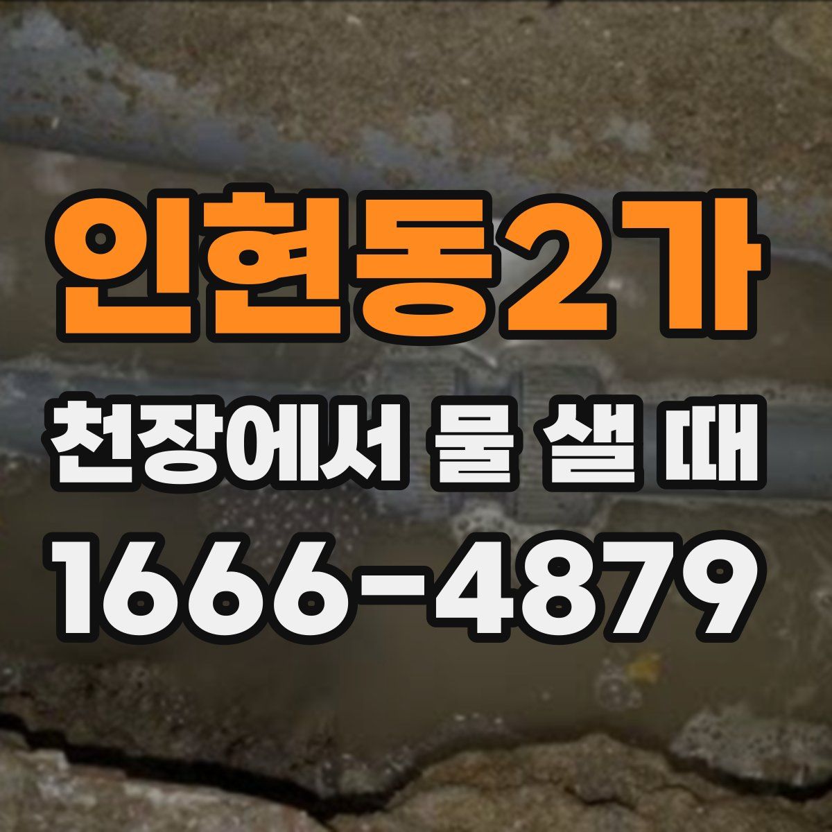 인현동2가 천장에서 물 샐 때