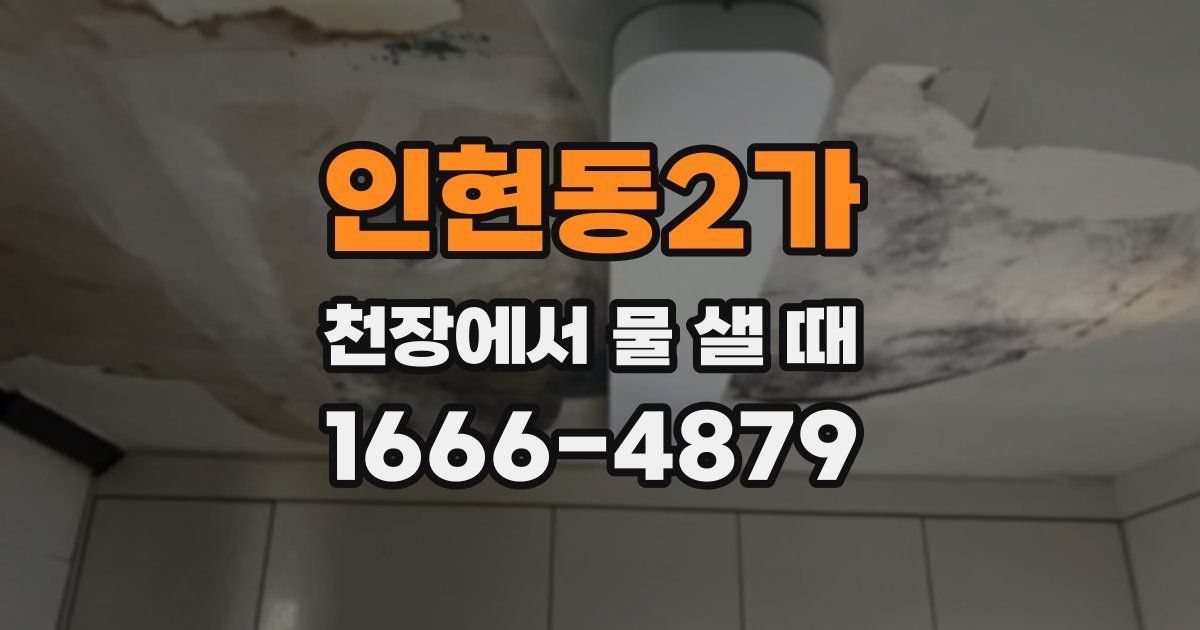 인현동2가 천장에서 물 샐 때