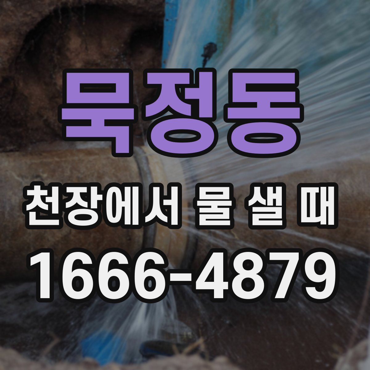 묵정동 천장에서 물 샐 때