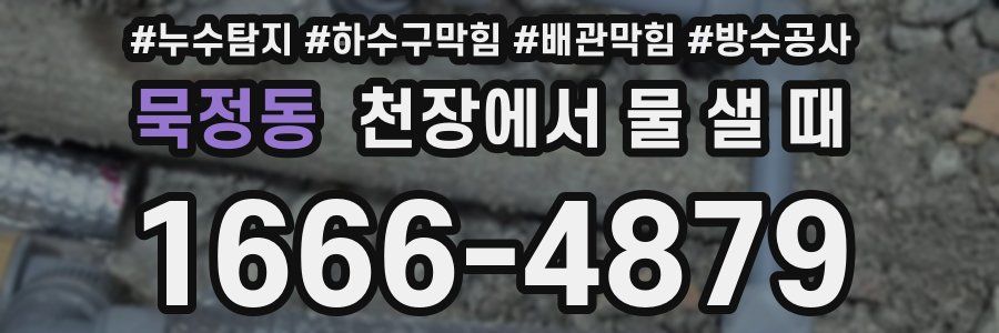 묵정동 천장에서 물 샐 때