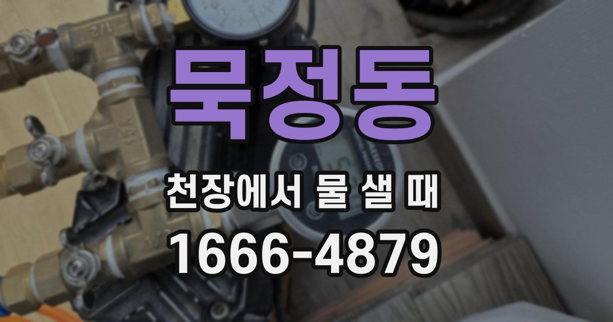 묵정동 천장에서 물 샐 때