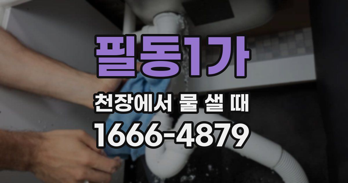 필동1가 천장에서 물 샐 때