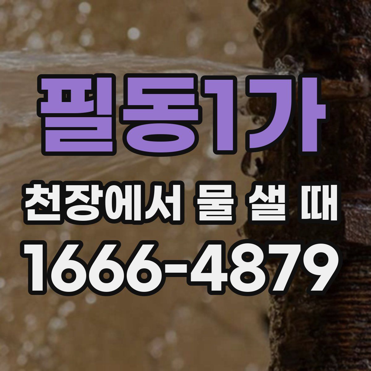 필동1가 천장에서 물 샐 때