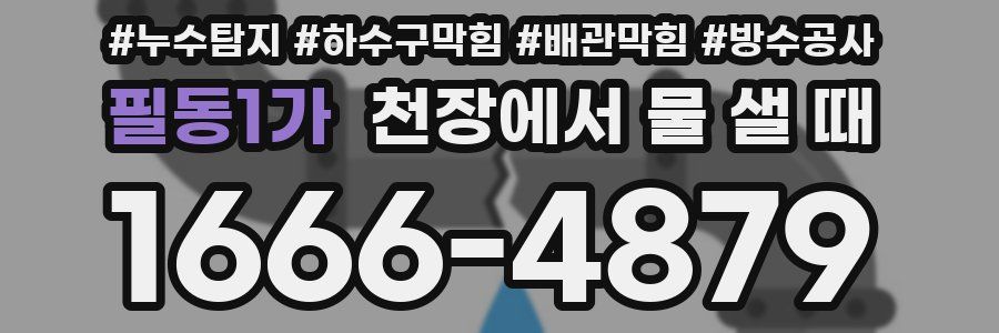 필동1가 천장에서 물 샐 때