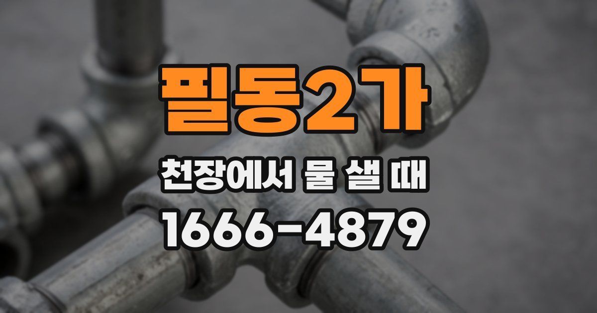 필동2가 천장에서 물 샐 때