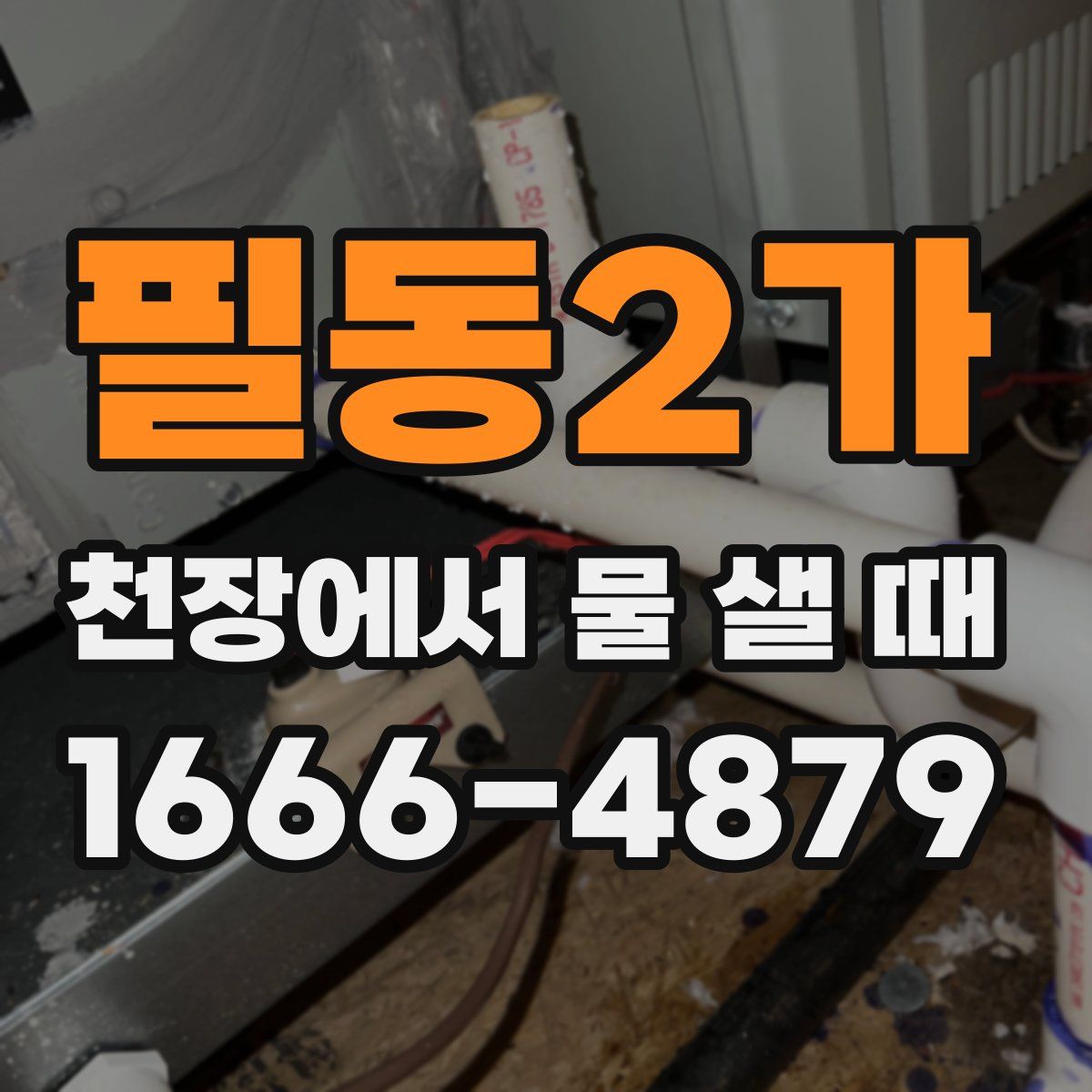 필동2가 천장에서 물 샐 때