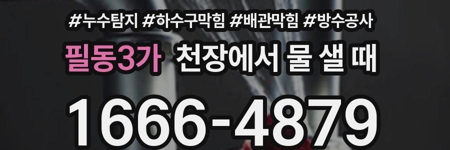 필동3가 천장에서 물 샐 때