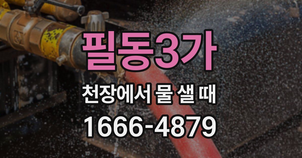 필동3가 천장에서 물 샐 때