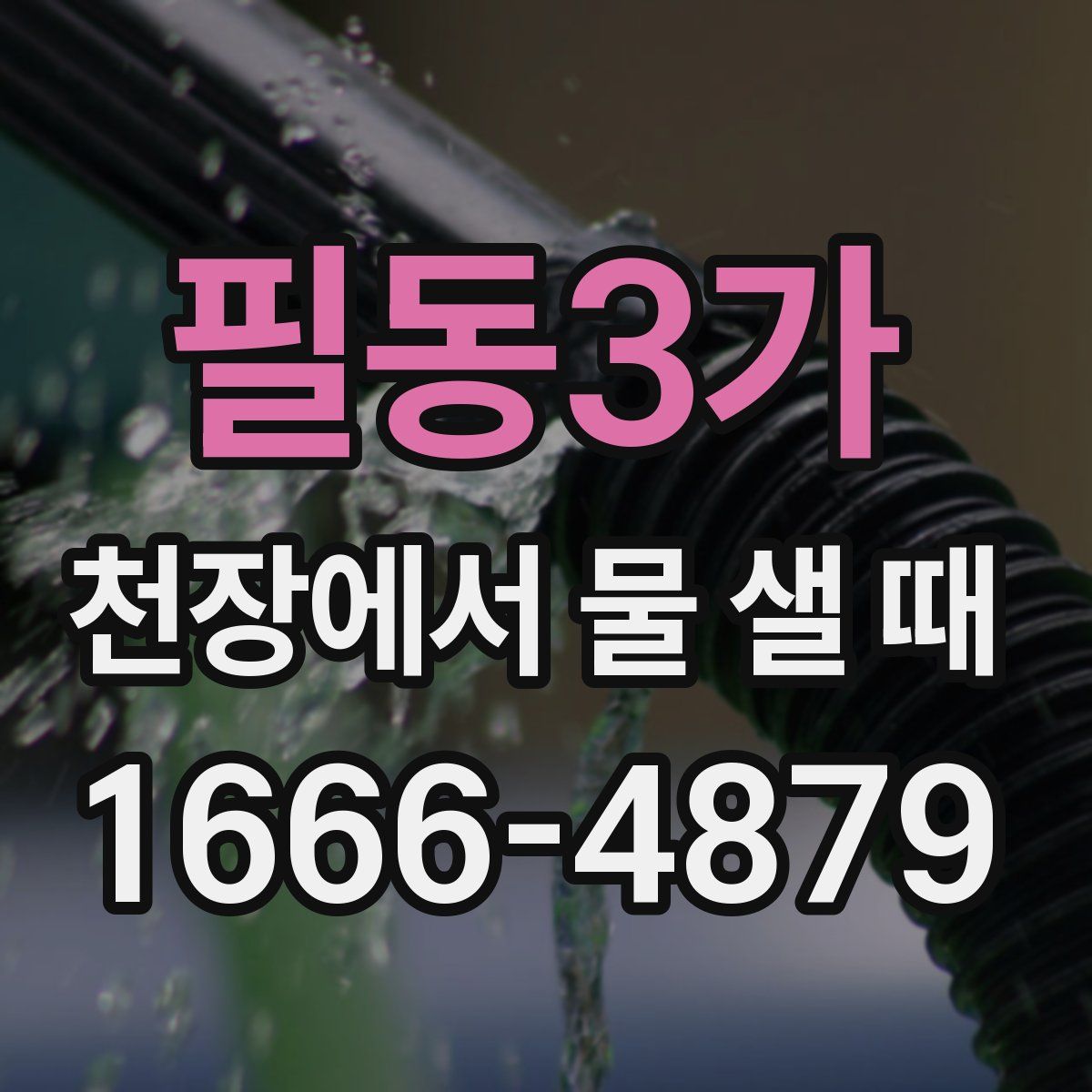 필동3가 천장에서 물 샐 때