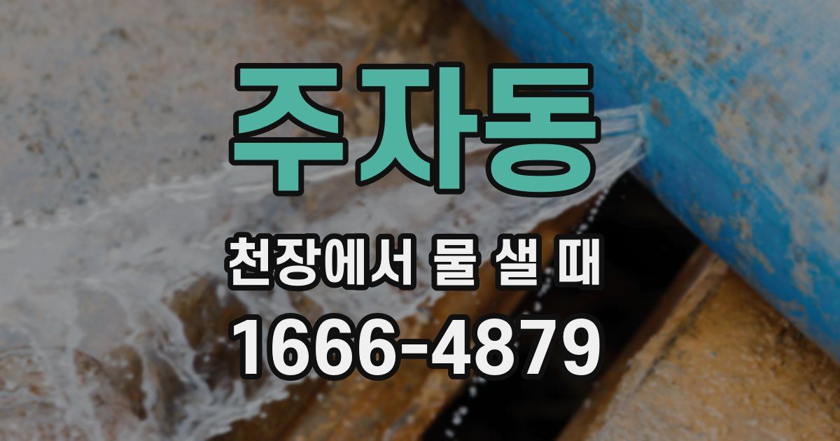 주자동 천장에서 물 샐 때