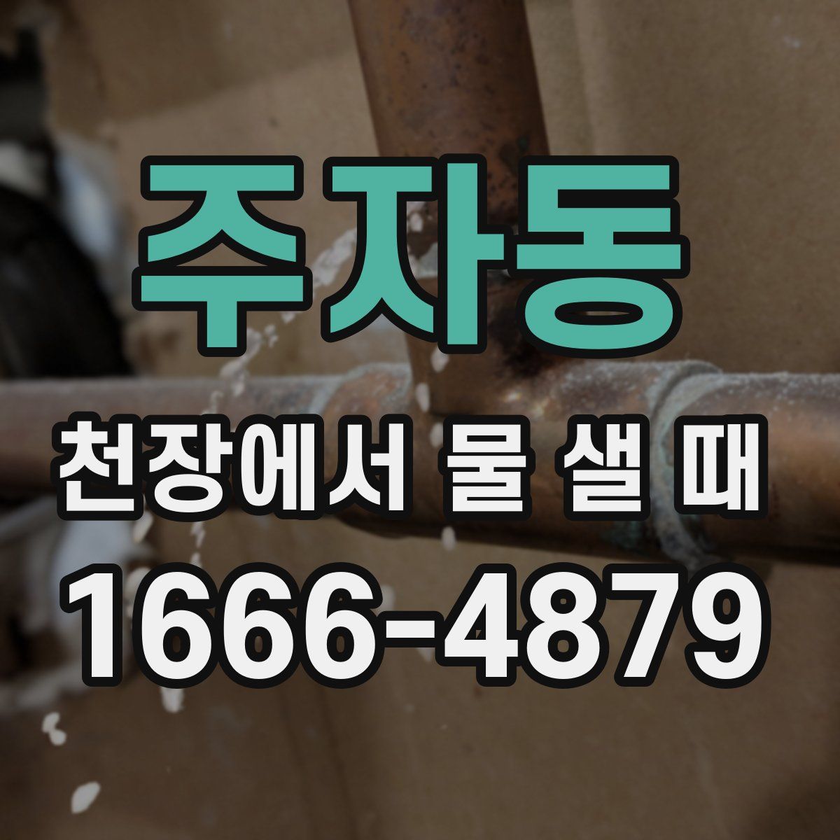 주자동 천장에서 물 샐 때