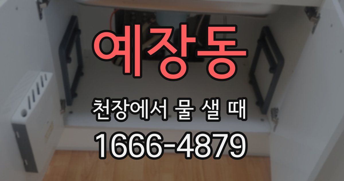 예장동 천장에서 물 샐 때