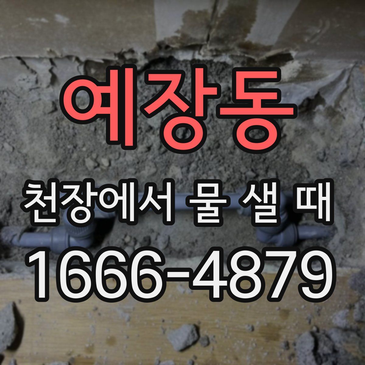 예장동 천장에서 물 샐 때