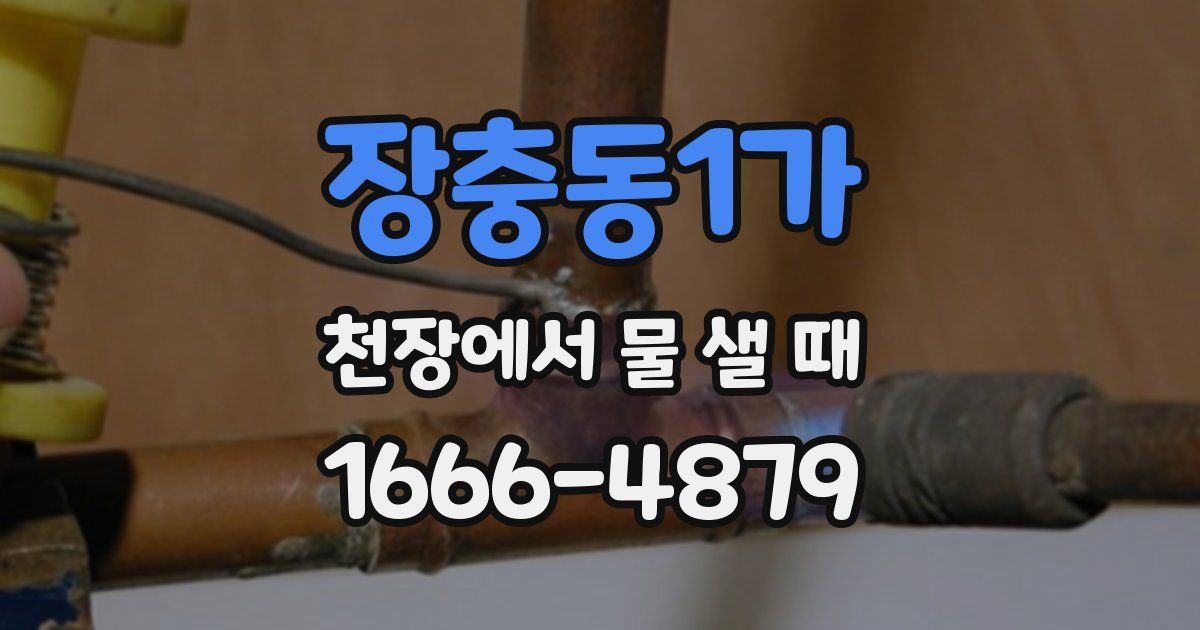 장충동1가 천장에서 물 샐 때