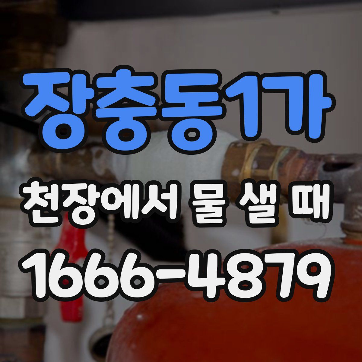 장충동1가 천장에서 물 샐 때