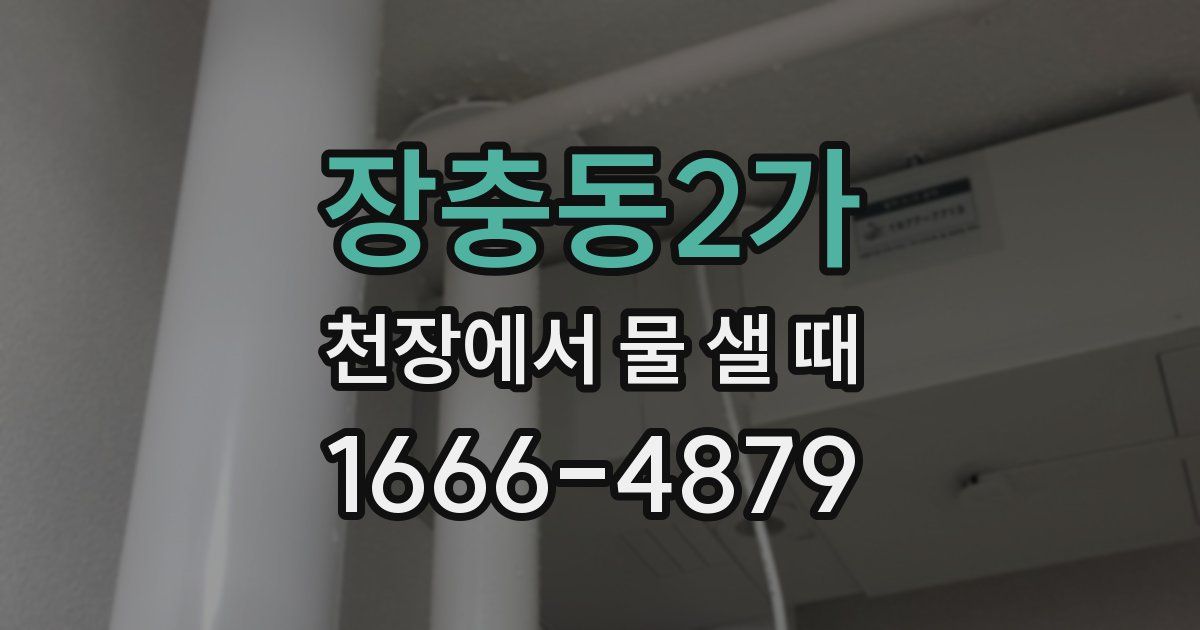 장충동2가 천장에서 물 샐 때