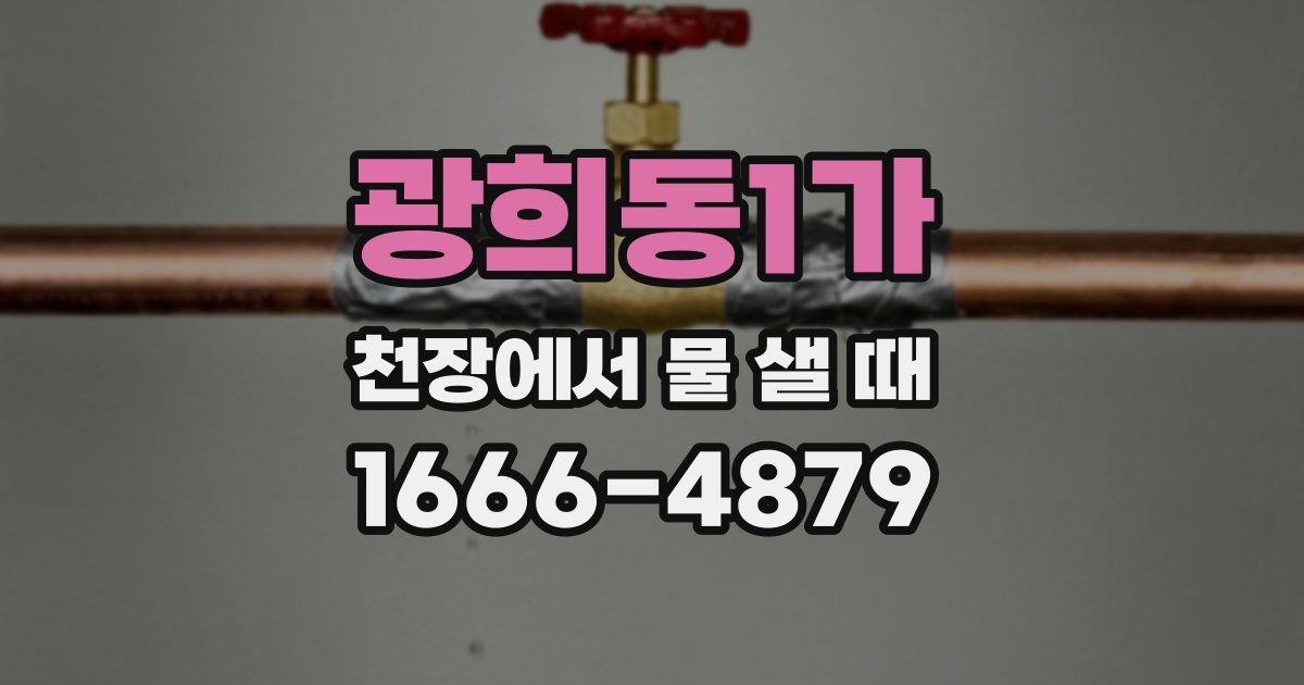 광희동1가 천장에서 물 샐 때