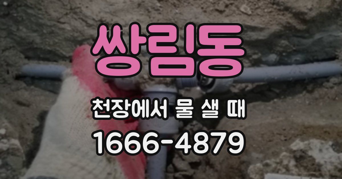 쌍림동 천장에서 물 샐 때