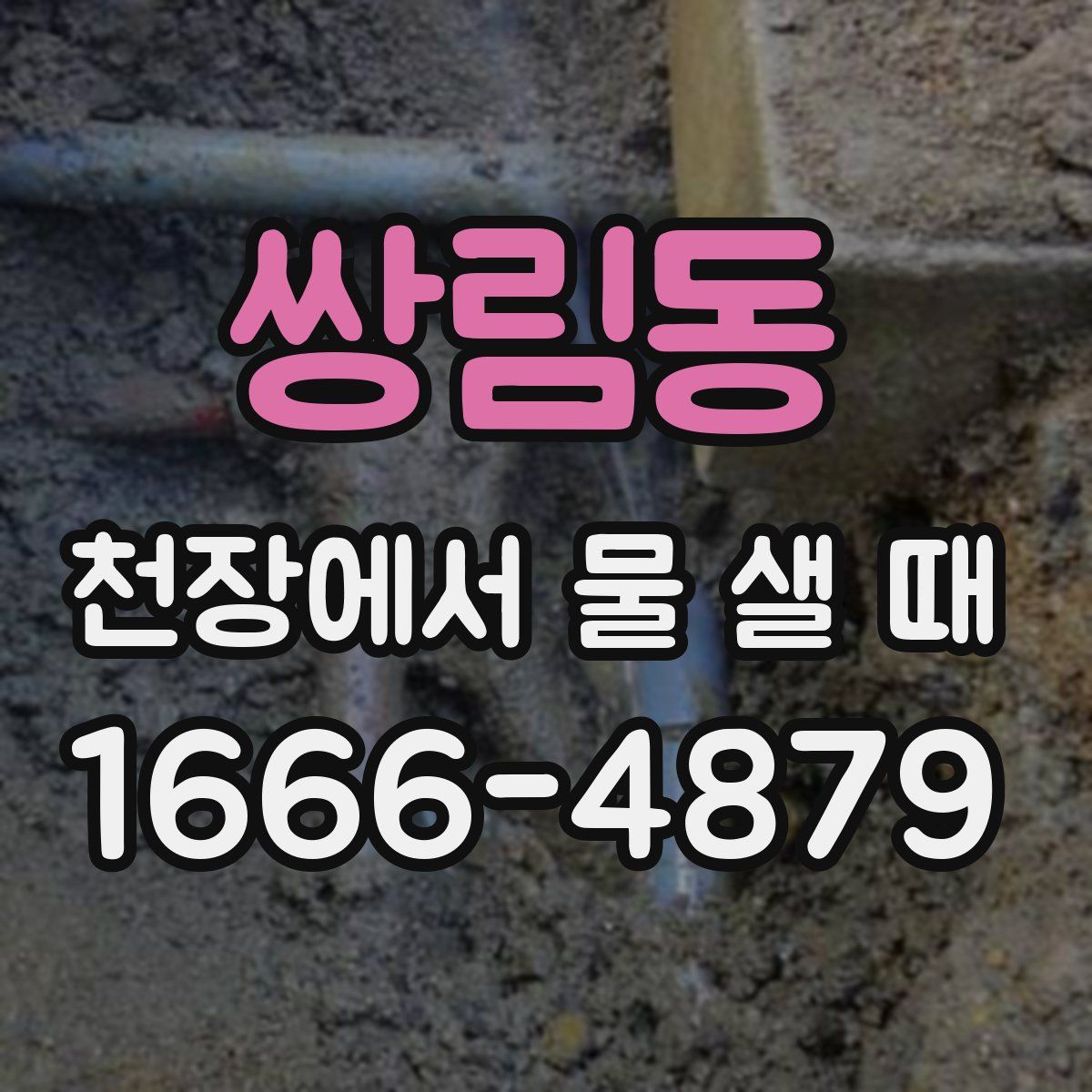 쌍림동 천장에서 물 샐 때